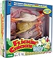 Flickin' Chicken
