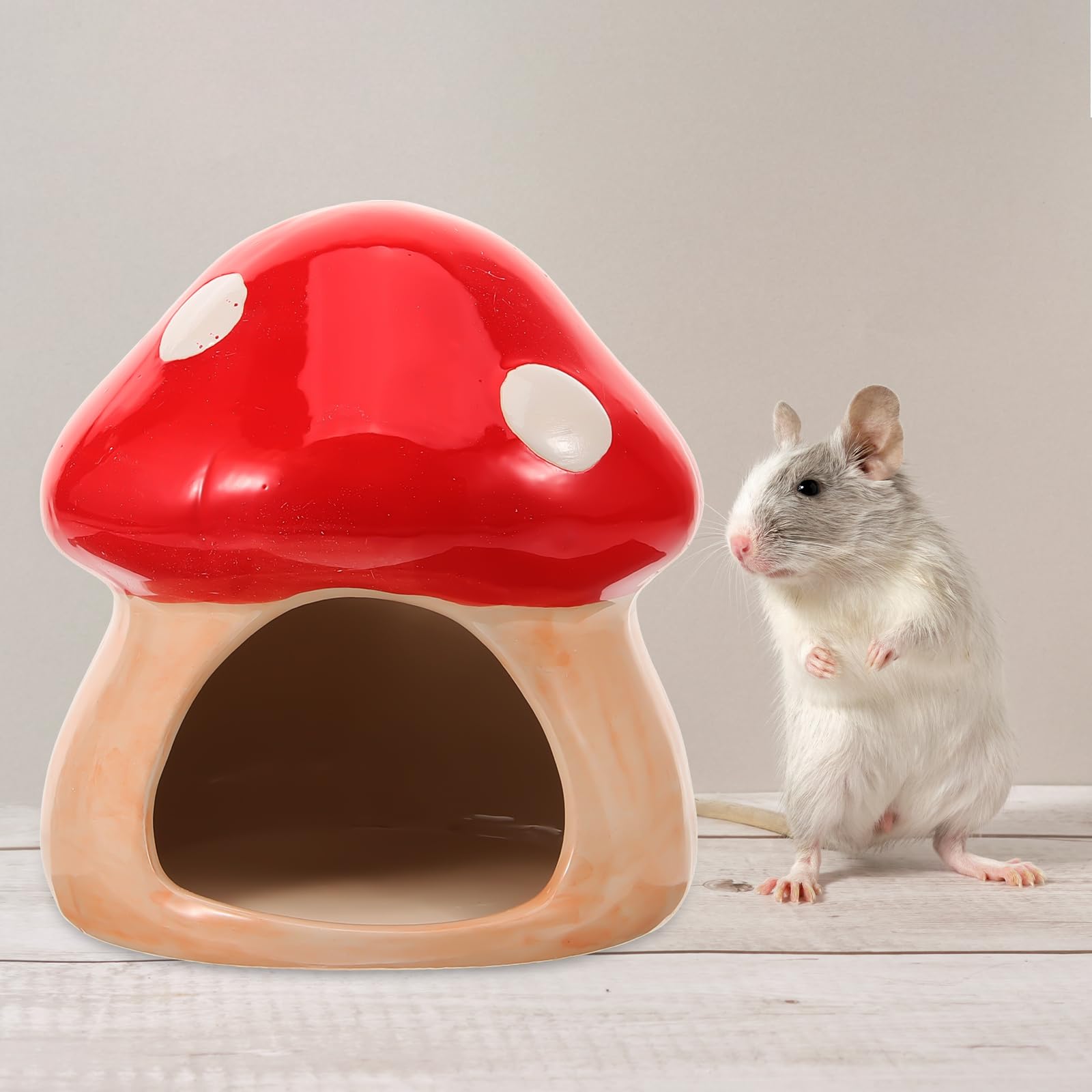 View 2