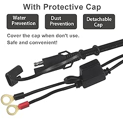 Sae to O Ring Terminal Harness 2FT - Sae Eyelet