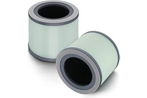 CPGSY TR-8080 HEPA Replacement Filter, 4 Stage HEPA Filtration Systems, Compatible with Dreamegg Purifier 1|2 Pack. (LightGre