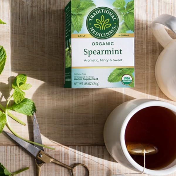 TRADITIONAL MEDICINALS ORGANIC TEA – SPEARMINT 16 BAGS (PACK OF 2)