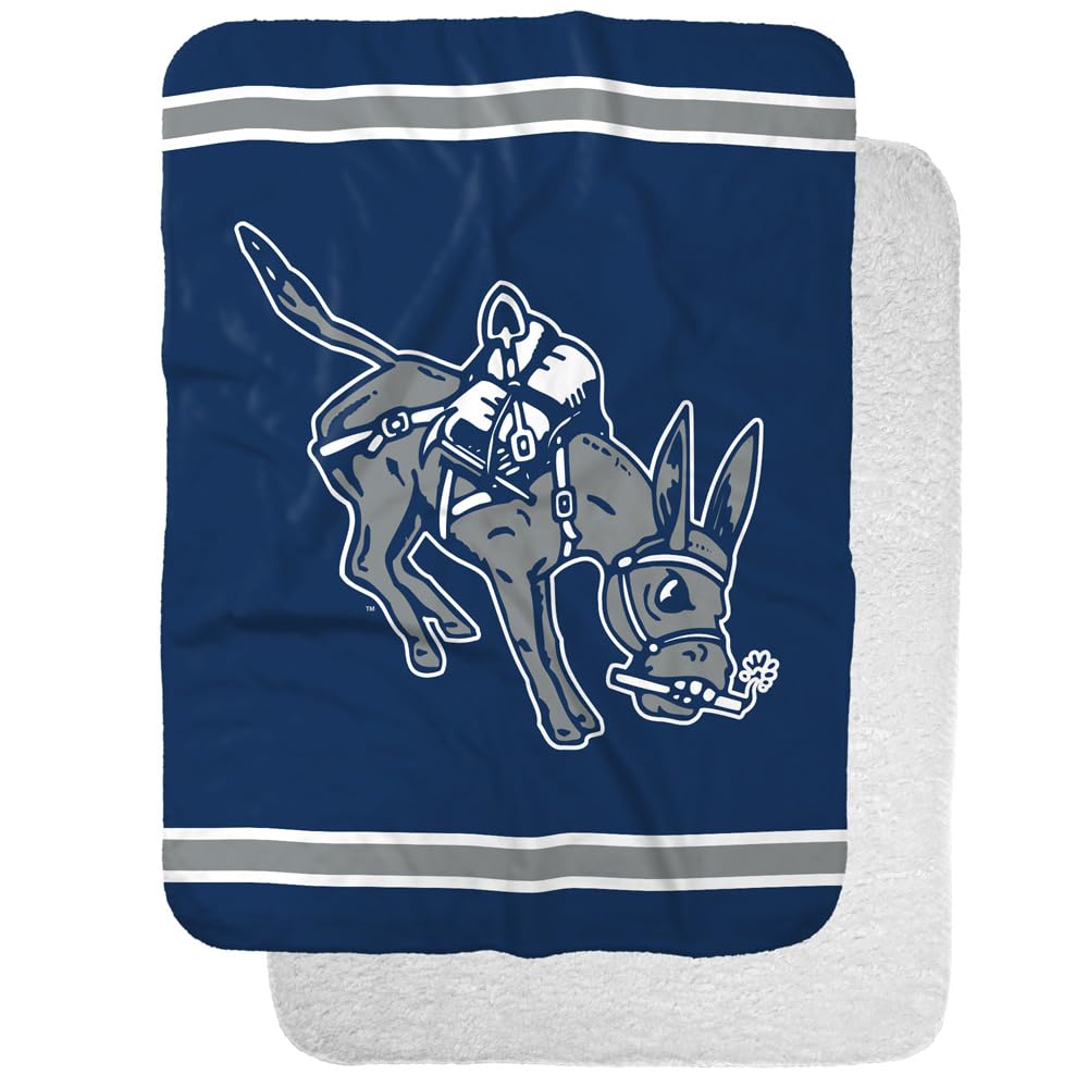 Colorado School of Mines Orediggers Primary Logo