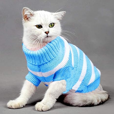 White cat sweater Clearance