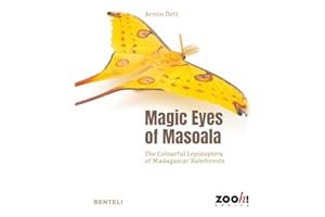 Magic Eyes of Masoala: The Colourful Lepidoptera of Madagascar Rainforests