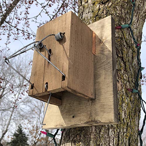Little Killer Squirrel Trap for Squirrel & Chipmunk Removal in Homes