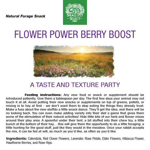 Small Pet Select - Flower Power Berry Boost Herbal Blend