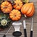 Antner Professional Pumpkin Carving Tools Kit, 4PCS Heavy-Duty Stainless Steel Carving Tools Set with 6PCS Self-Adhesive Stencils for Easy Creating Halloween Jack-O-Lantern Decoration