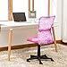 EuroStile Adjustable Kids Desk Chair Mid-Back Ergonomic Mesh Swivel Computer Office Desk Task Chair 8007FL