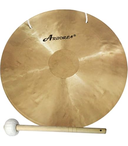 Amazon.com: Wuhan Cymbals Wind Gong 22