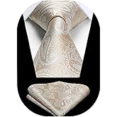 HISDERN Ties for Men Paisley Floral Tie Handkerchief Classic Woven Business Formal Necktie and Pocket Square Set Wedding