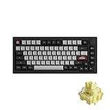 Akko Dracula Castle Mechanical Keyboard 5075B Plus