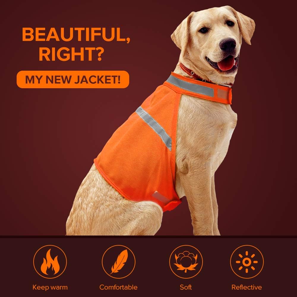 thunder jacket petbarn