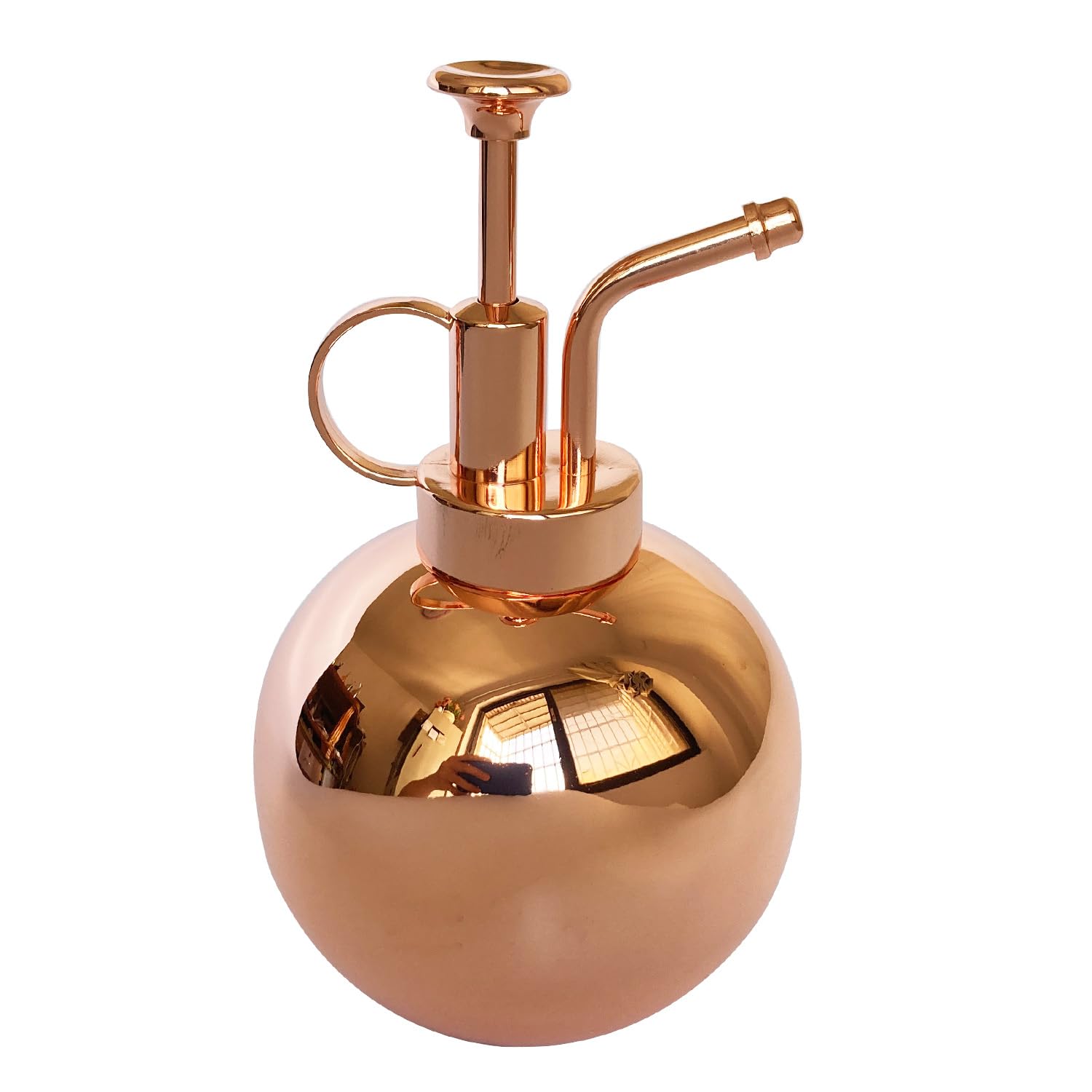 LIANSHI Stainless Steel Plant Sprayer, Small Watering Can, Plant Spray Bottle, Modern Garden Tools for Indoor Potted Plants, Watering and Spraying