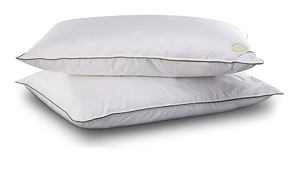 Amazon Com White Boutique Gold European White Goose Down Pillow