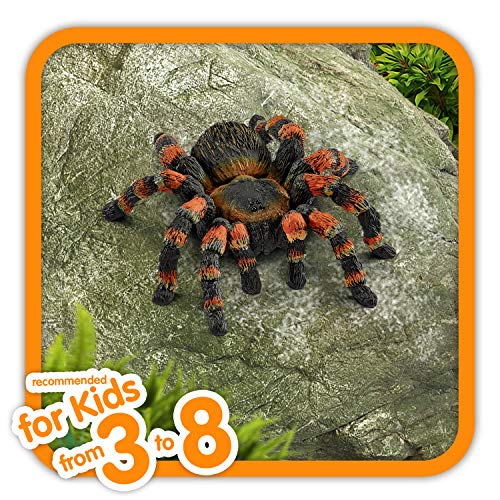schleich 14829 Vogelspinne, für Kinder ab 3+ Jahren, WILD LIFE - Spielfigur – Bild 3