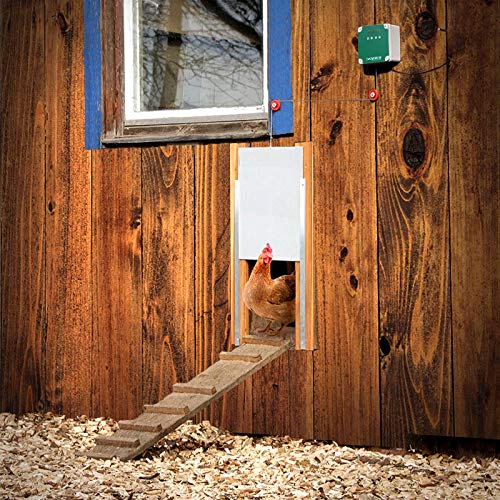 Agrarzone Automatische Hühnerklappe Batterie mit Schieber 40 x 43 cm- Hühnertür elektrisch mit Timer, Manuell, Lichtsensor für Hühnerstall – Bild 6