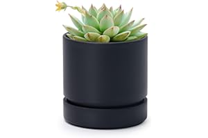 Phoenix Vine 4 Inch Planter Pot with Drainage Hole & Saucer, Deep Water Catch Tray, Straight Cylindrical Round Pot for Plants, Matte Black, Pack of 1, 23-C-R-1