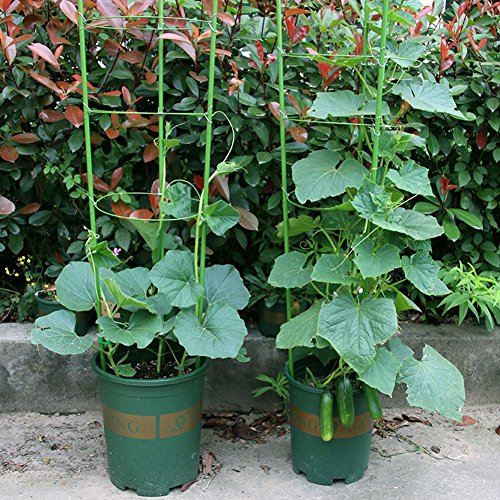 Yunhigh Plant Support Rings, Garden Plant Support for Potted Plants Climbing Winding Sturdy Tomato Cucumber Plant Cage Trellis