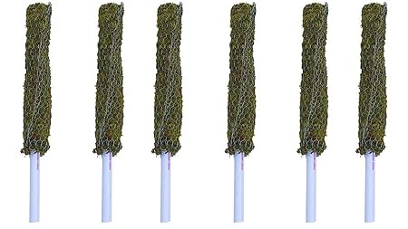 PlantaZee Moss Stick 5 Ft - Pieces -Moss & Coir Stick for Plant Support, Indoor Plants, House Plants & Plant Creepers
