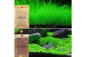 JIALIU 3 Pack Aquarium Plants See ds, Live Aquarium Grass See ds for Fish Tank Freshwater, Fast Growing Aquarium Mini Leaf & Hair Grass Small Pearl for Decorate Your Fish Tank.