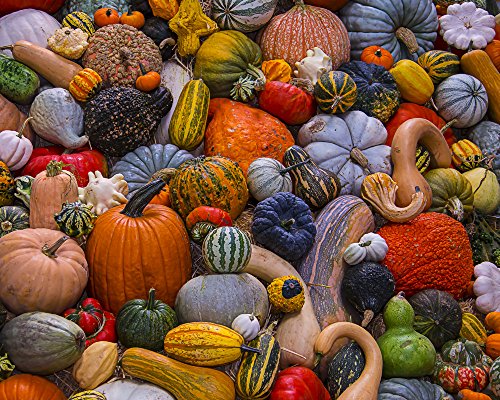 Autumn Harvest Jigsaw Puzzle 1000 Piece