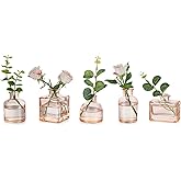 Glasseam Champagne Glass Bud Vase: Mini Small Vases for Centerpieces Cute Flower Vase Set of 5 Tiny Vases for Flowers Decorative Centerpiece for Table Decor Wedding Party Dining Room Decoration