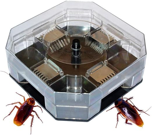 Yiju Menage Efficace Cafard Pieges Boite Reutilisable Cafard Bug Cafard Receveur Cafard Tueur Appats Pieges Pesticides Pour Cuisine Noir Amazon Fr Jardin