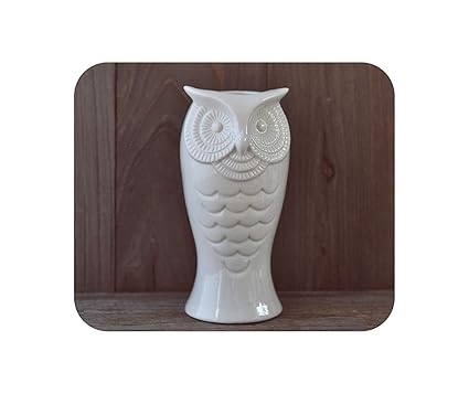 Amazon Com Simple Cute White Ceramic Owl Shape Vase Small Desktop