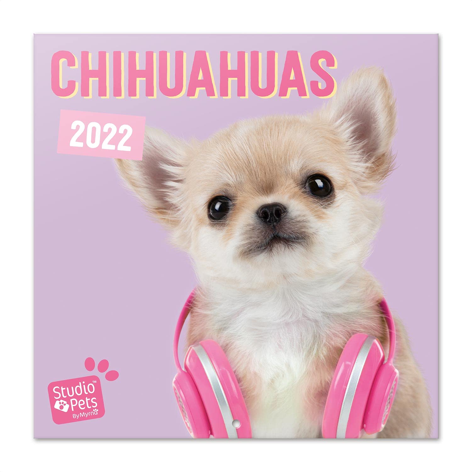 Grupo Erik: Official Studio Pets Dogs 2022 Wall Calendar, 2022 Calendar, 12' x 12' Square Wall Calendar 2022, Family Calendar 2022, Chihuahuas Calendar 2022 - Kids Calendar 2022 โ image 1
