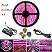 Lahoku LED Plant Grow Strip Light 16.4ft SMD 5050 Waterproof Full Spectrum Red Blue 4:1 Rope Strip Grow Light with Power Adapter for Greenhouse Hydroponic Plant (5M)