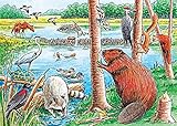 The Beaver Pond, A 35 Piece Tray Puzzle by Cobble Hill