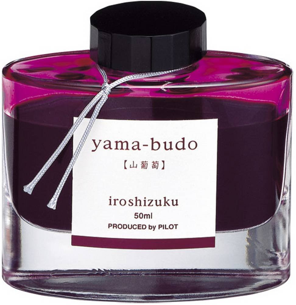 Best Fountain Pen Ink﻿ 29