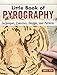 Little Book of Pyrography: Techniques, Exercises, Designs, and Patterns (Fox Chapel Publishing) Pock by Lora S. Irish