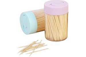 Sturdy Safe Toothpick Holder 2 Pack,Wooden Toothpicks 1000 PCS Ornate Handle for Party Appetizer Olive Barbecue Fruit Teeth C
