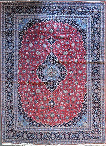 9.10x13.7 Persian kashan #80445 - Amir Rugs
