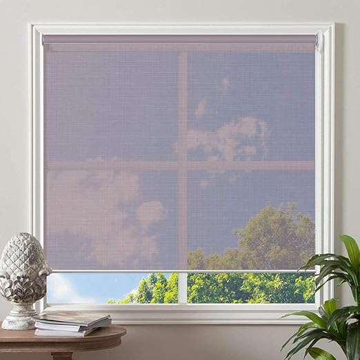 Amazon.com: Persianas transparentes para ventana, protección UV, tejido de filtrado de luz, persianas enrollables personalizadas para ventana: Home \u0026 Kitchen