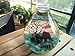 Fashion Table Aquarium - Live Moss Ball, Sea Fan, Amazonite Gravels, Seashell, Red Volcano Rock, Work Desk Decoration Indoor Decor