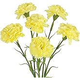 IPOPU Carnations Artificial Flowers,6PCS Real Touch Faux Yellow Carnations 20'' Fake Silk Flowers Bulk for Wedding Bouquet Party Table Centerpieces Home Decor (Yellow)