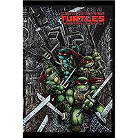 Teenage Mutant Ninja Turtles: The Ultimate B&W Collection Vol. 4 book cover