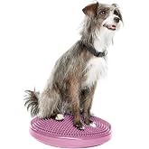 FitPaws&reg; Dog Balance Disc, Exercise Equipment, Rehabilitation + Training,