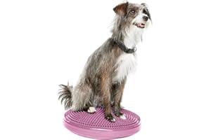 FitPAWS® Dog Balance Disc – 14”, Razzleberry | Dog Exercise Equipment | Workout Tool for Strength, Core, Stability & Rehabili