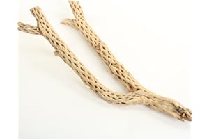 Koyal Wholesale 12" Natural Cholla Wood Aquarium Wood Untreated Driftwood Teddy Bear Cholla Piece for Shrimp Pleco Gecko Hermit Crab Tank Decoration Reptile Desert Enclosure Accessories