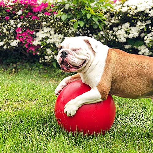 Jolly Pets PushnPlay Ball Dog Toy, 10 Inches/Large, Red (310 RD