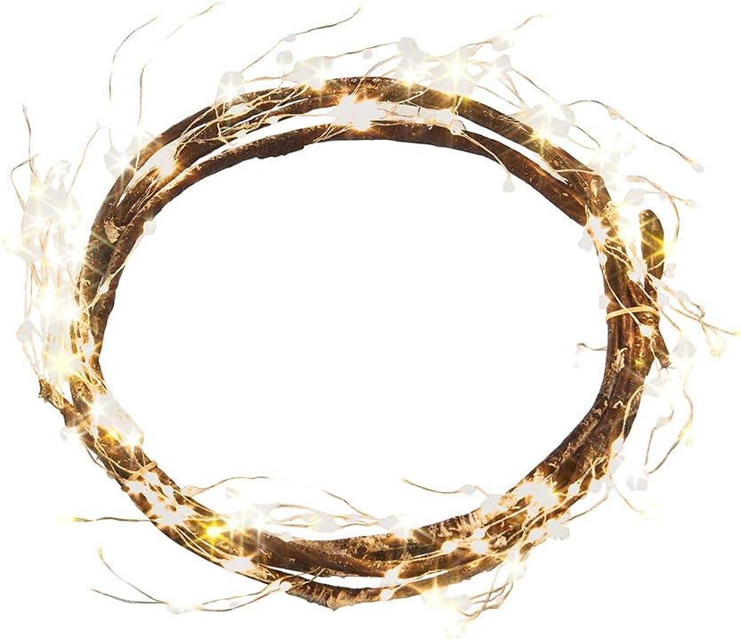 Which Is The Best Branch Home Decor