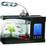 cunzo mini desktop aquarium