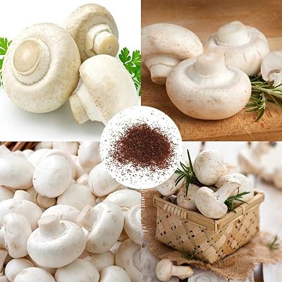 Maserfaliw White Mushroom Seed 100Pcs White Button Mushroom Seed Spores Spawn Garden Courtyard Vegetable Plant