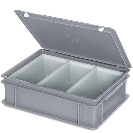 Besteckkoffer mit 3-Mulden-Einsatz, grau, LxBxH 400 x 300 x 130 mm
