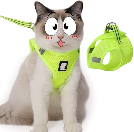 fitting a cat collar