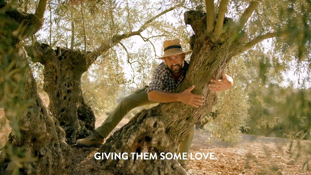 Pompeian Robust Extra Virgin Olive Oil, First Cold Pressed, Full-Bodied Flavor, Perfect for Salad Dressings & Marinades… - Image 8