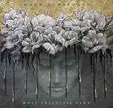 WHAT GRACELESS DAWN                                image
